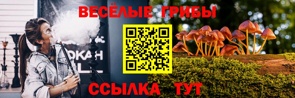 Елизово  Галлюциногенные грибы GOLDEN TEACHER  Вход с VPN 