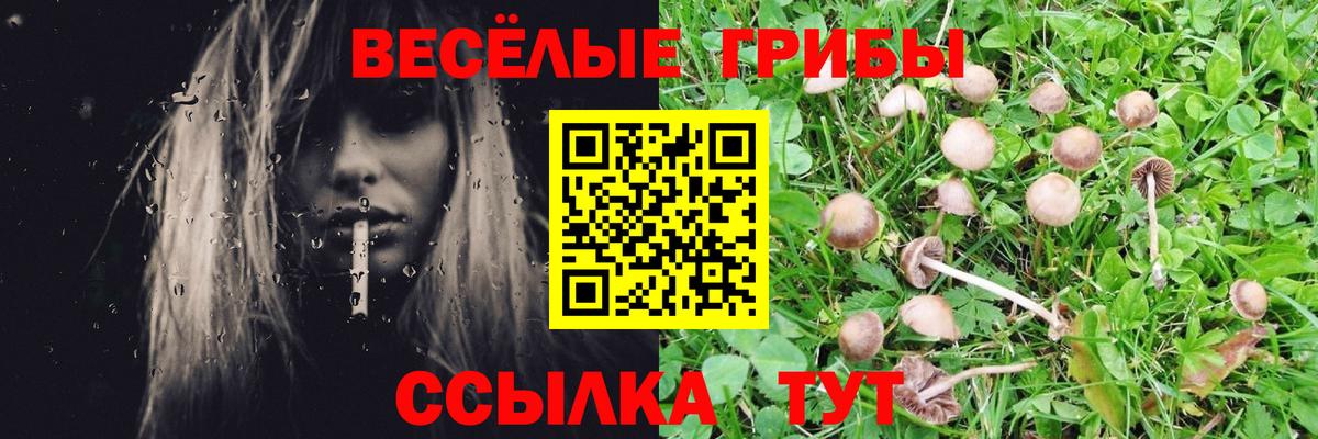 Псилоцибиновые грибы ЛСД Елизово